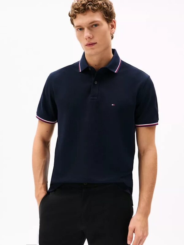 Regular Fit Tommy Wicking Polo