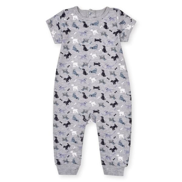 Grey Dog Printed Romper With Green Lining Body Suit And Blue Short - Image 3